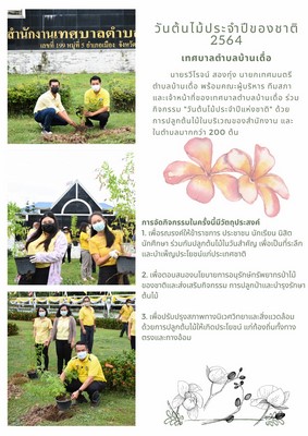 ภาพที่ 17