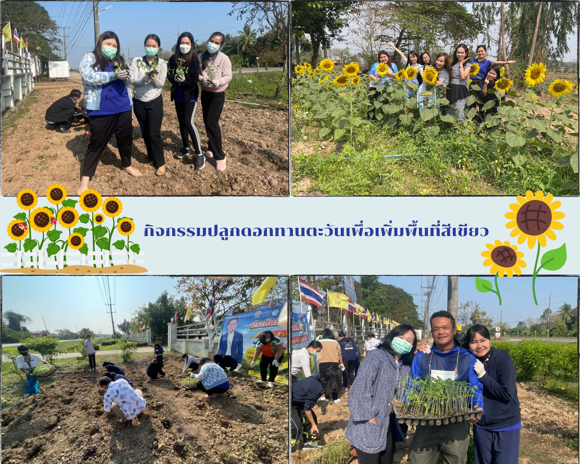 กิจกรรมปลูกดอกทานตะวันเพื่อเพิ่มพื้นที่สีเขียว
