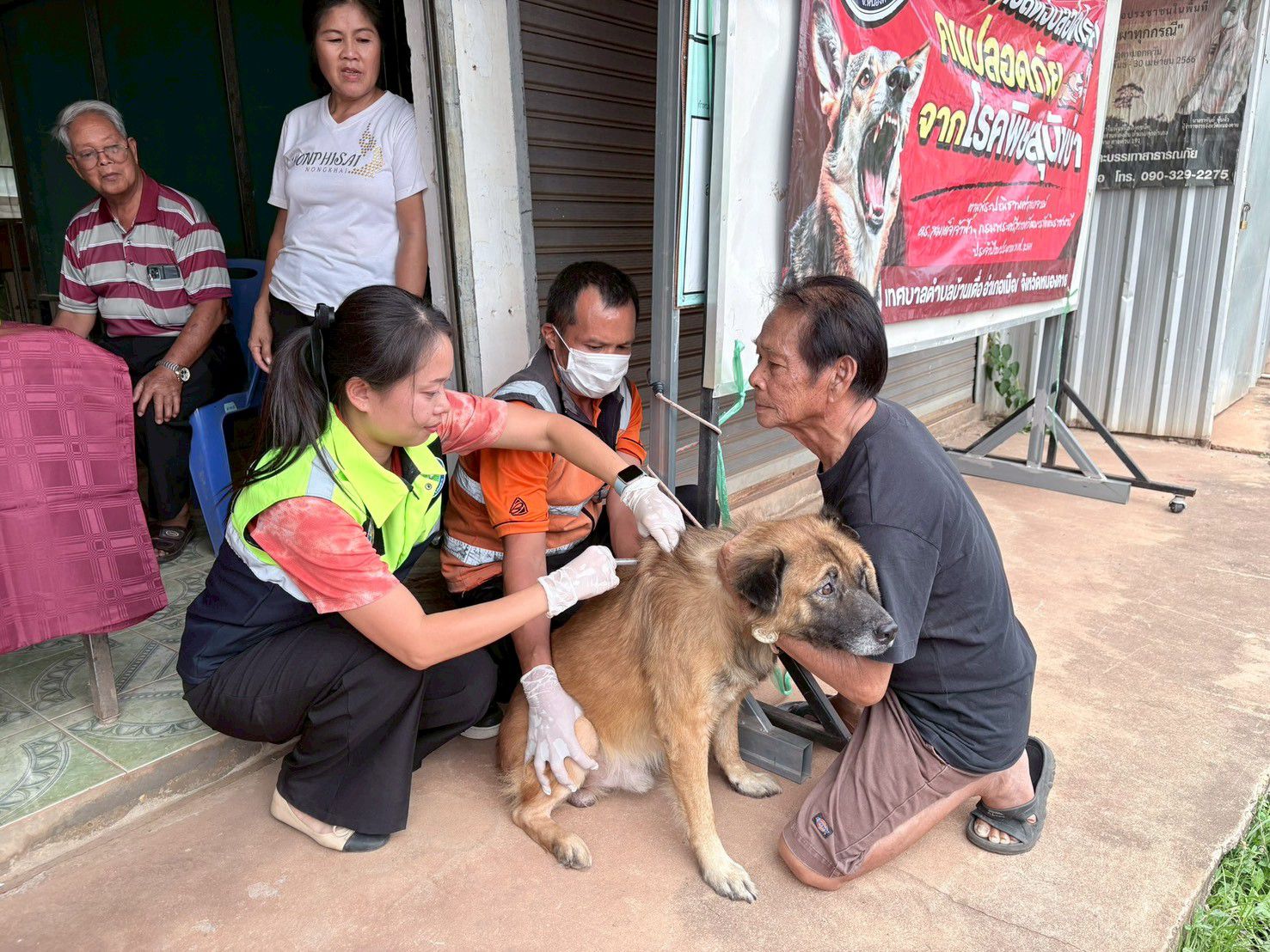 ภาพที่ 10