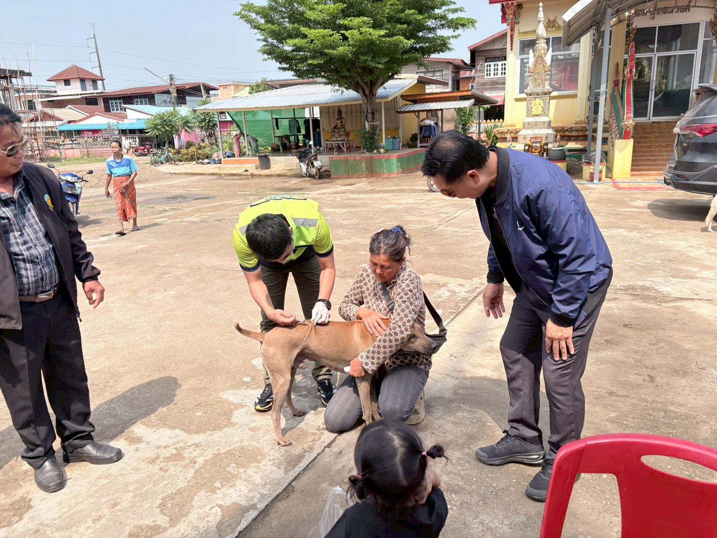 ภาพที่ 8
