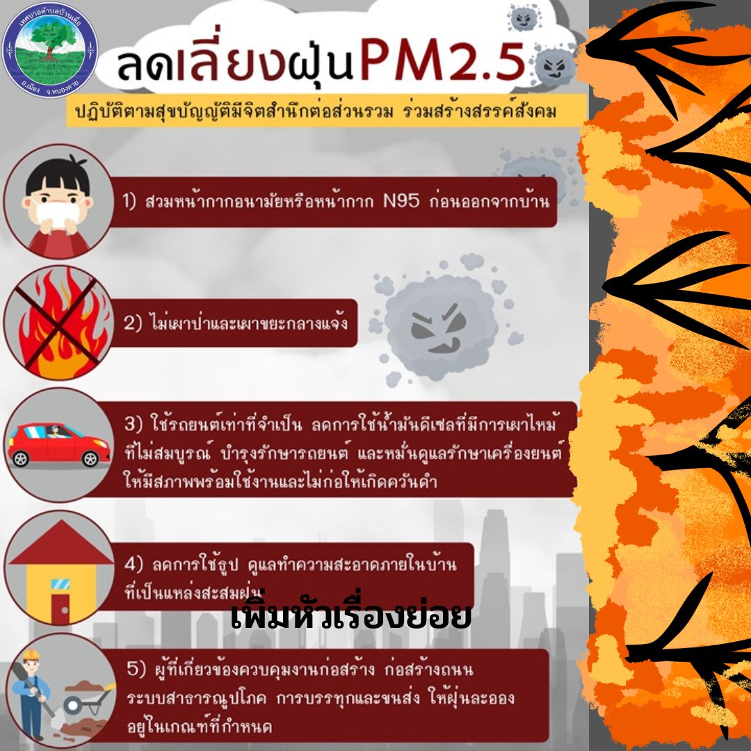 ลดเลี่ยงฝุ่น PM 2.5